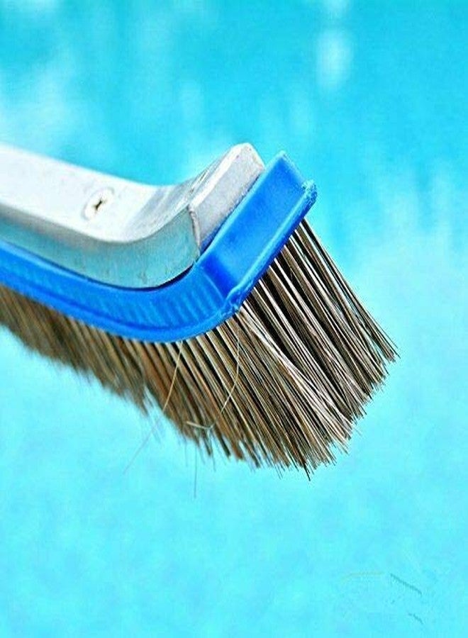 PETSON 18 inch Algae Brush, Stainless Steel Algae Brush SwimmingHelix Pool Brush Cleaner Pool Brush - Image 3